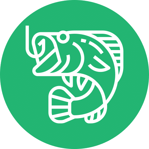 La-veine-deau-poisson